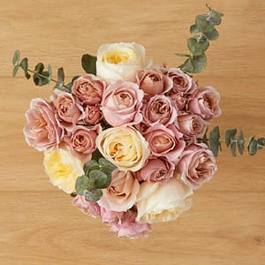 at first sight pink roses great flowers for Valentines Day